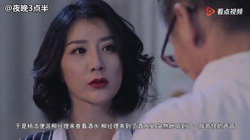 国产门视频,匠心独运，展现中国制造风采